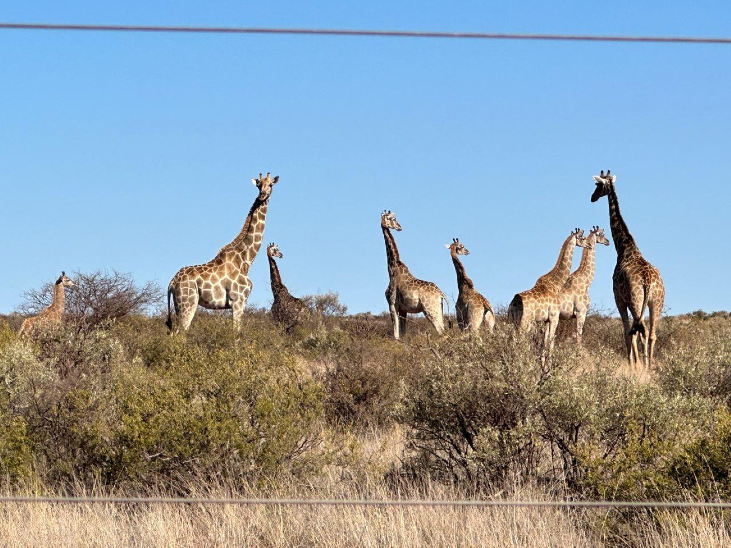 Northen Cape – Exceptional 1,567HA Game Farm & Hunting Lodge