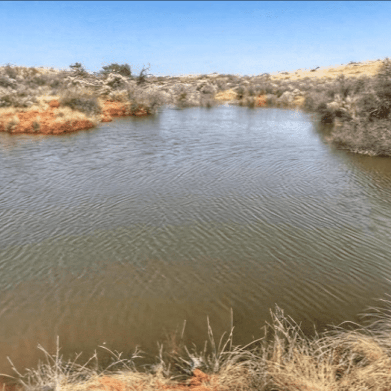 Northen Cape – Exceptional 1,567HA Game Farm & Hunting Lodge
