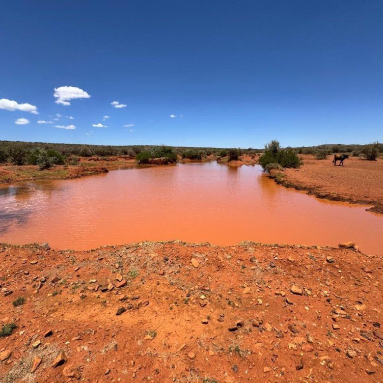 Northen Cape – Exceptional 1,567HA Game Farm & Hunting Lodge