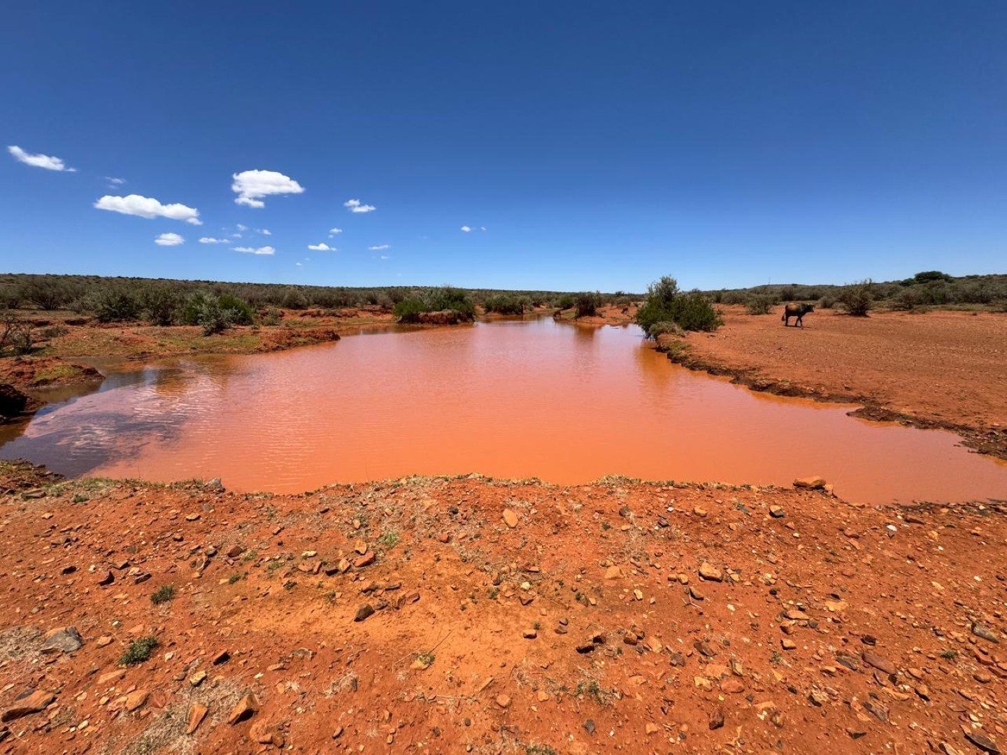 Northen Cape – Exceptional 1,567HA Game Farm & Hunting Lodge