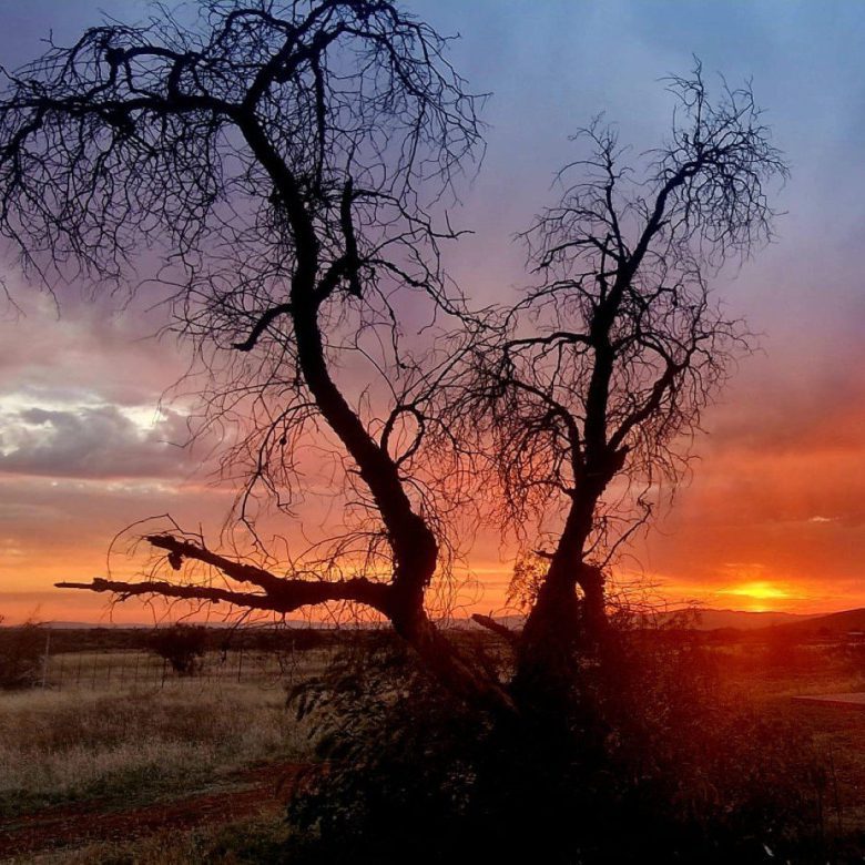 Northen Cape – Exceptional 1,567HA Game Farm & Hunting Lodge