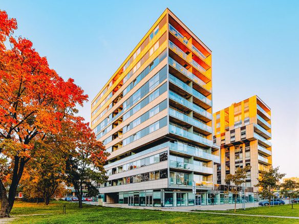 Adobestock 323336140