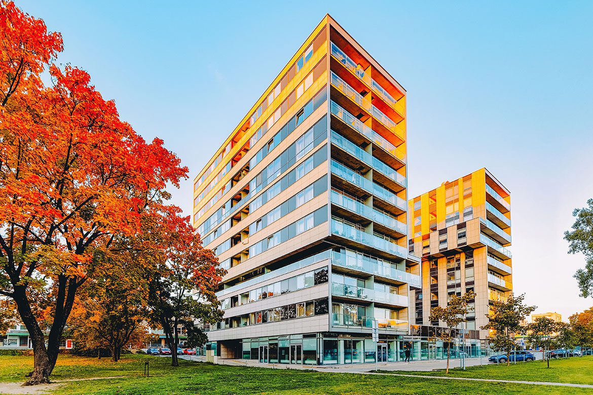 Adobestock 323336140