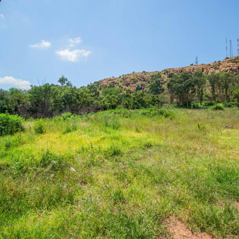 Bedfordview – Prime Development Land with Subdivision in Place