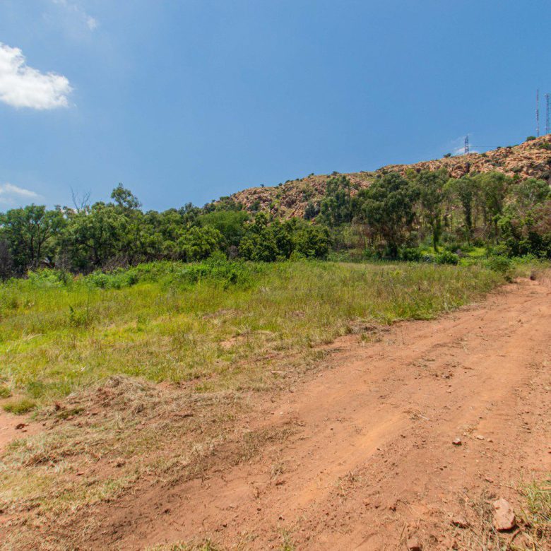 Bedfordview – Prime Development Land with Subdivision in Place