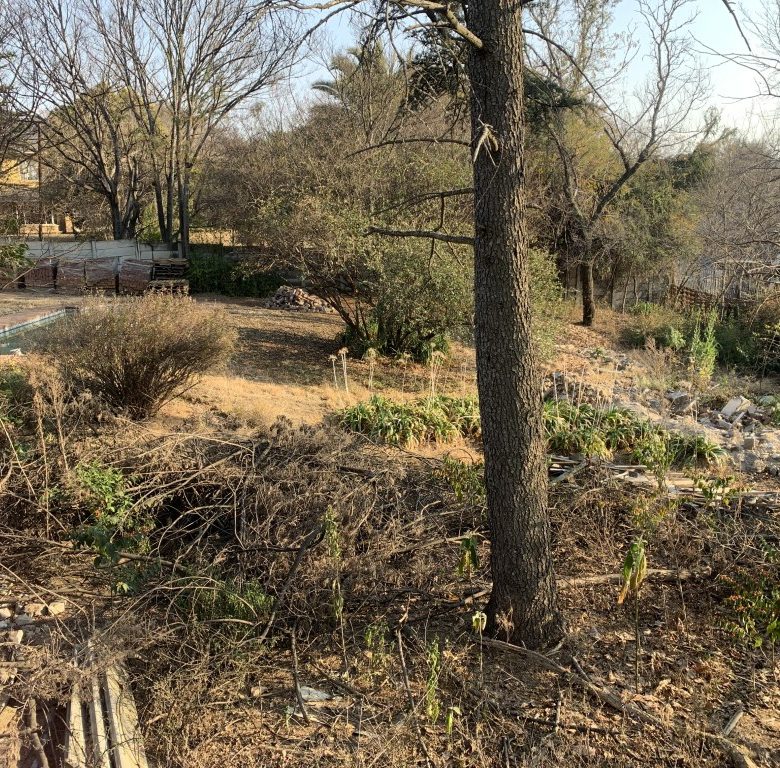 Rivonia | Prime Vacant Stand with Approved Building Plans