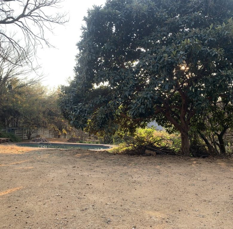 Rivonia | Prime Vacant Stand with Approved Building Plans