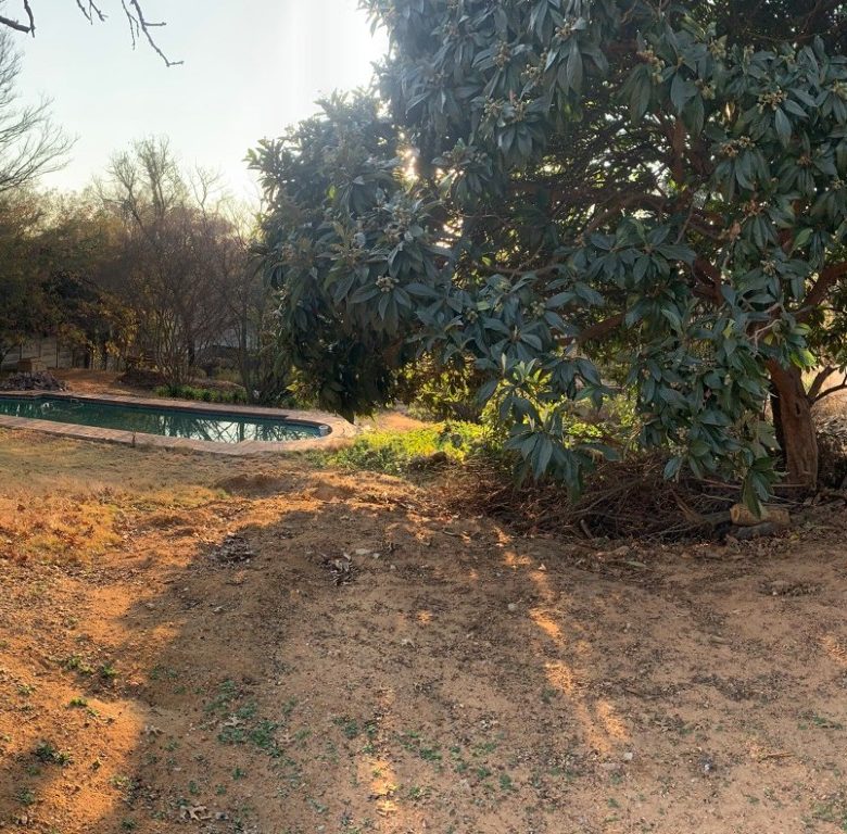 Rivonia | Prime Vacant Stand with Approved Building Plans