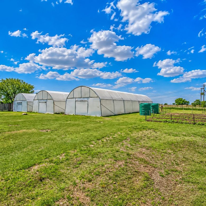 Oranjeville / Vaaldam | 5-Tunnel Agricultural Holding — ~2.83 ha Turnkey Ag Infrastructure
