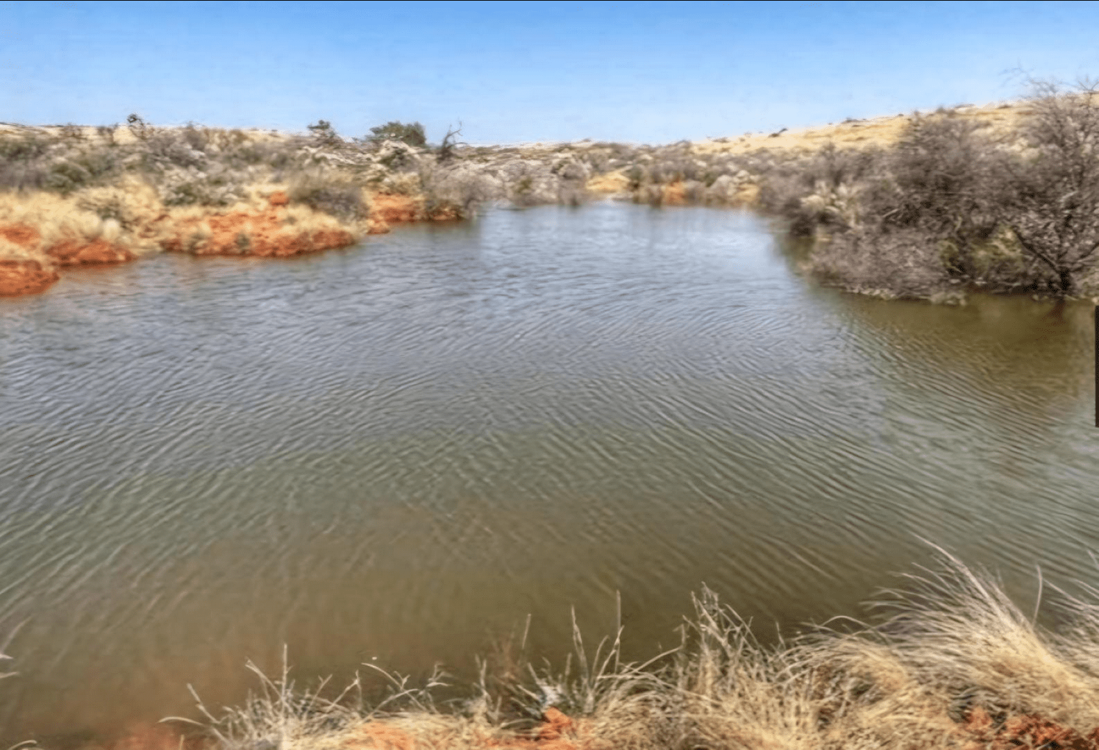 Northen Cape – Exceptional 1,567HA Game Farm & Hunting Lodge