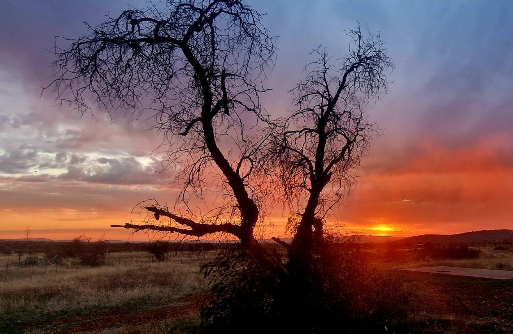 Northen Cape – Exceptional 1,567HA Game Farm & Hunting Lodge
